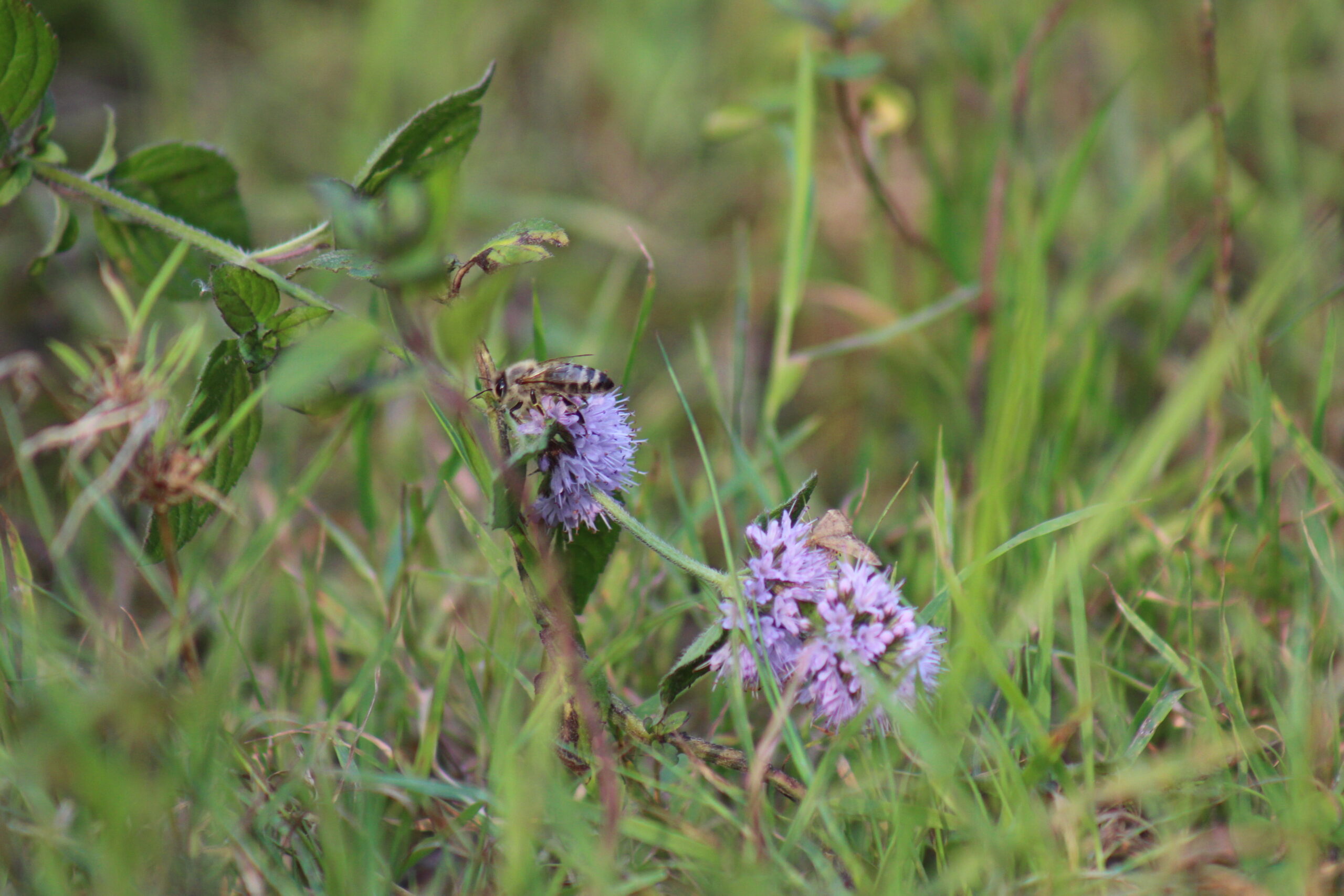 „Führung gestalten – Teams stärken“
