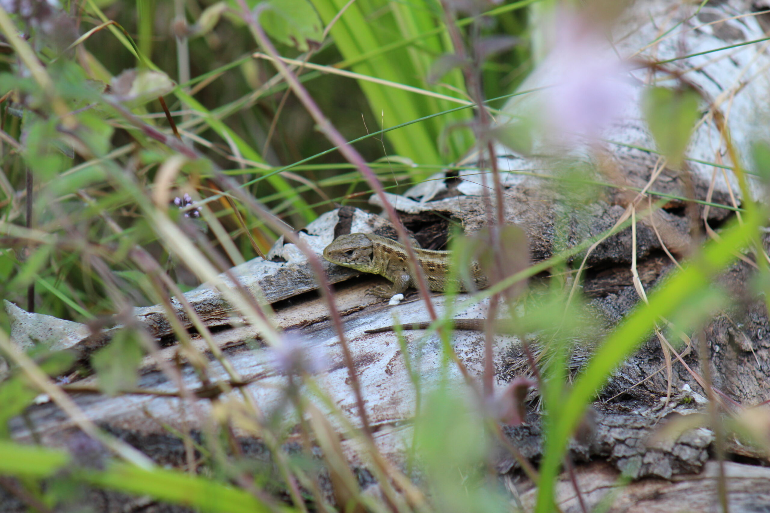 Bereit für neue Impulse?